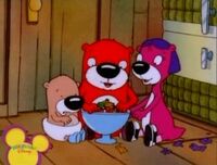 PB&J Otter - Opal Says Knock Knock