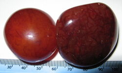 Carnelian sard mineral specimen