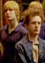 Fred Weasley and Percy Weasley in the Gryffindor's common room