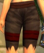 Canvas Pants