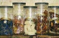 Potion's ingredients 01