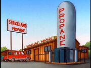 StrickLand Propane