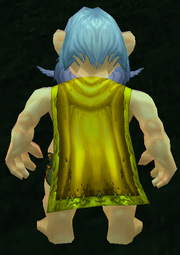 Bright Cloak, Grass Background, Gnome Male