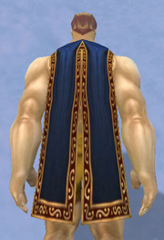 Arcane Cloak, Snow Background, Human Male
