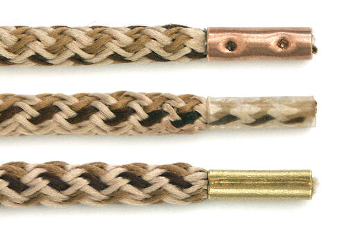 Aglet - Useless Facts! Wiki - Wikia