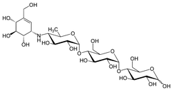 Acarbose structure