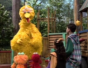 Bigbirdsong