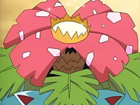 EP441 Flor de Venusaur