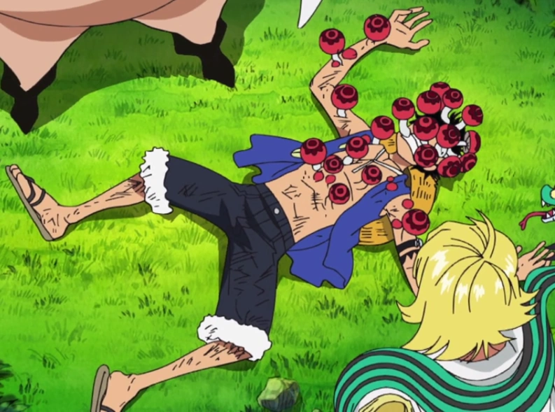 Body Mushroom The One Piece Wiki Manga Anime Pirates Marines 