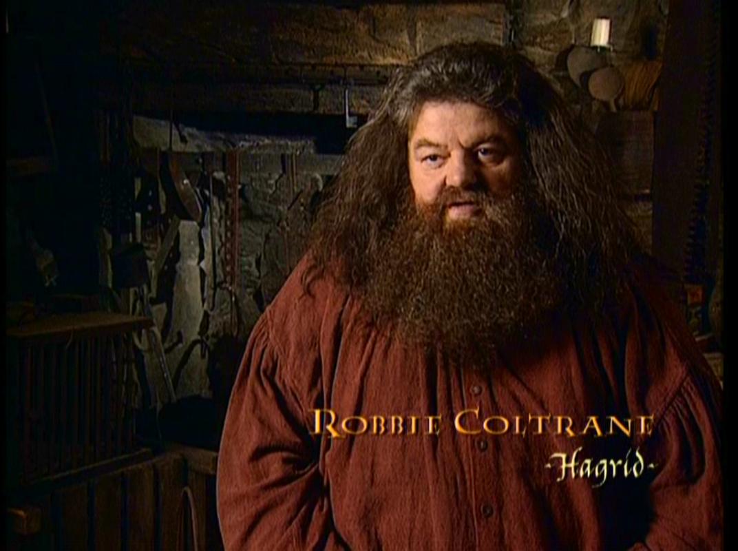 Image - Robbie Coltrane (Rubeus Hagrid) CoS Screenshot.JPG - Harry ...