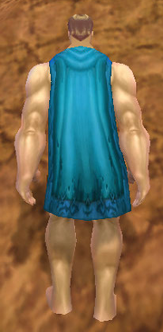 Seer's Cape, Dirt Background, Human Male