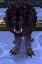 Orc Wolf