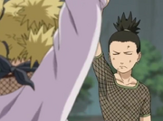 Shikamaruvstemari7