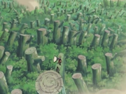 Shikavstayuya11
