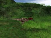 Ceratosaurus 1