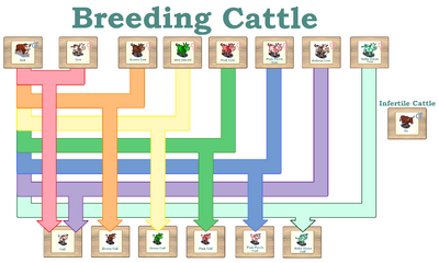 Breeding Cattle