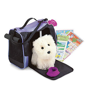 CoconutTravelCarrier