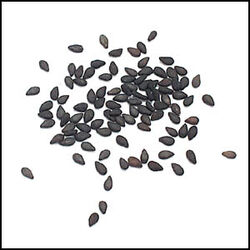 Black sesame seeds