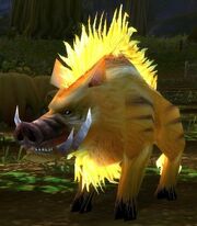 Porcine Princess