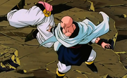 Tenshinhan91