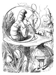 Tenniel-Caterpillar