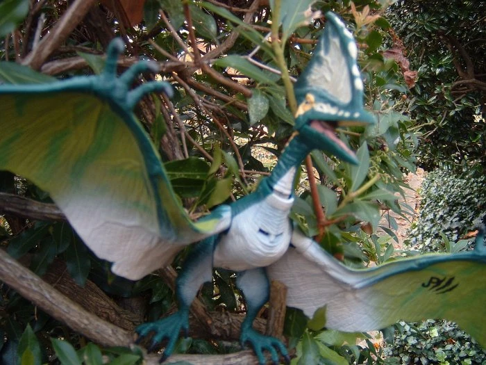 Tapejara Park Pedia Jurassic Park, Dinosaurs, Stephen Spielberg