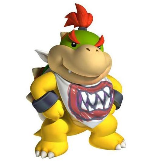 sanei bowser jr