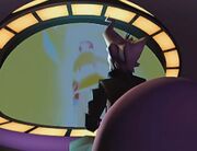 PurgeOpening