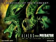 Avp wall2 lg