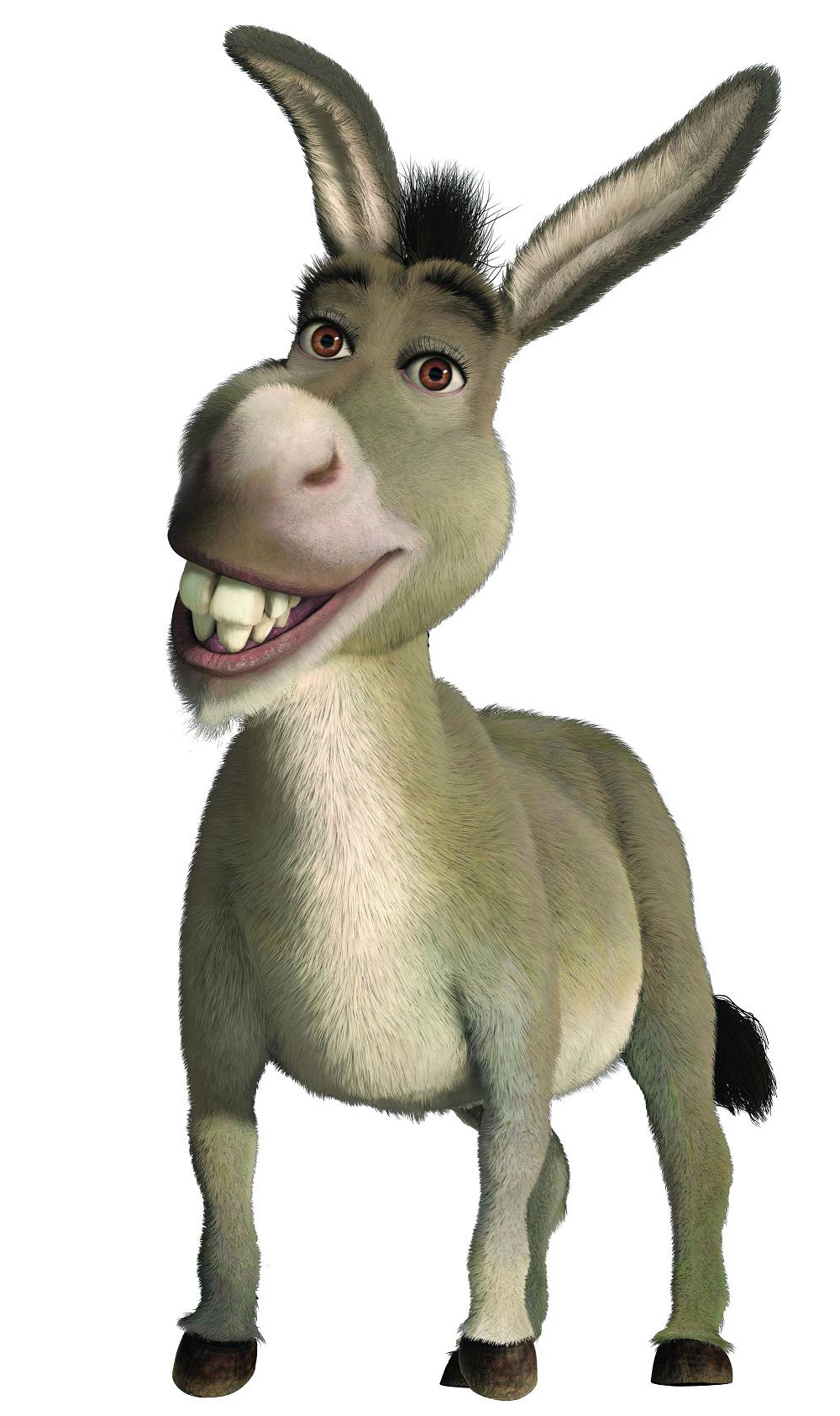 Donkey1.jpg