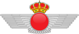 800px-Rokiski svg
