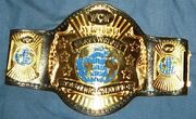 WCW Championship Belt
