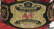 World Tag Team Championship