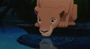 Nala