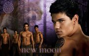 New-Moon-Wallpaper-Werewolves-twiligh7428188-1920-12001-1024x640