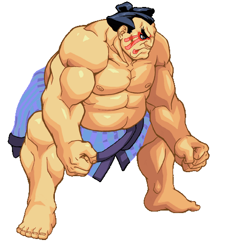 http://img3.wikia.nocookie.net/__cb20100718230844/streetfighter/images/6/6c/Ehonda-hdstance.gif