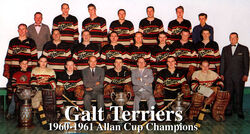Terriers60