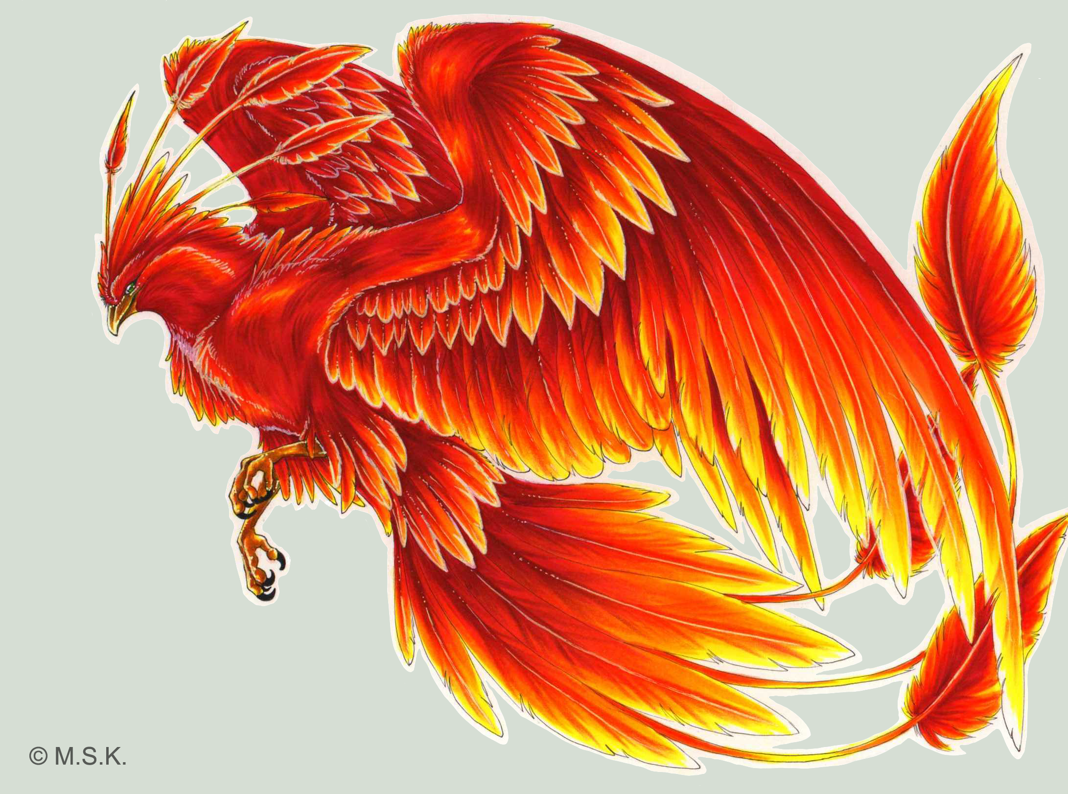 perfect phoenix avatar