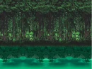 Jungle.png