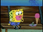 Eisspongeplankt