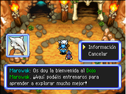 Dojo Marowak
