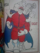 Sagat1