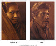 Indian-arrows-212x300
