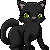 Image - Black cat avatar by hidesbehindthings-d2znyno.gif - Warriors