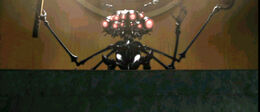 A-anim.279