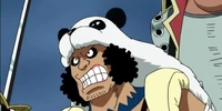 Palms one piece