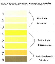 Infecção urinária 5