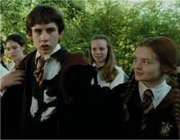 Ginger and neville