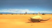 NewMexicoDesert