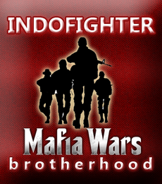Indofighter
